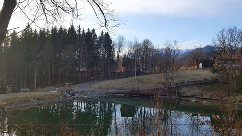 Scenic view of lake and trees against sky