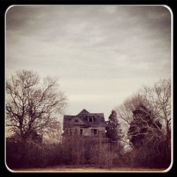 Low angle view of bare trees against sky