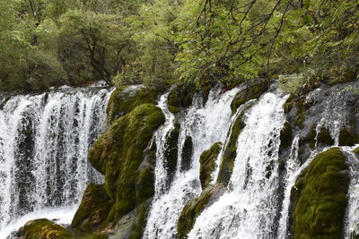 Close-up of waterfall against trees