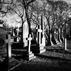 Cemetery against trees