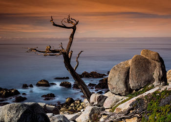 Scenic view of sea against sky during sunset