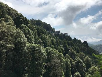 Scenic view of forest against sky