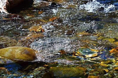 Full frame shot of water surface