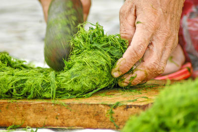 Close-up of man preparing food