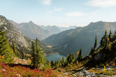High mountain altitude trees off trail with alpine lake below in north cascades national park