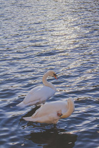 View of water in water