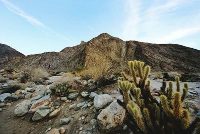 Scenic view of desert against sky