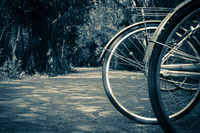 Close-up of bicycle parked on road amidst trees