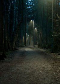 Road amidst trees in forest at night