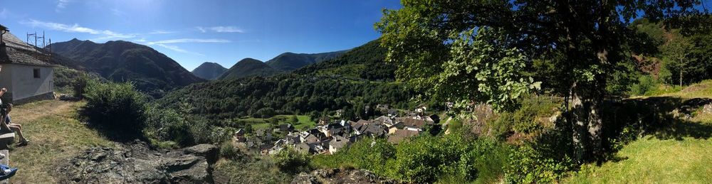 Panoramic view of trees on landscape against sky