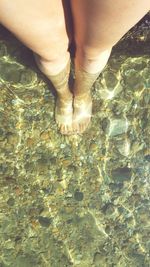 Low section of people standing in water