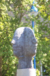 Close-up of tree trunk