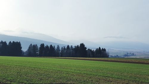 Scenic view of field against sky