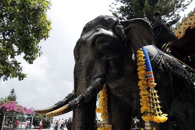 Low angle view of statue against sky