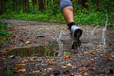 Low section of person standing in water