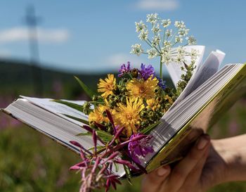 Cropped hand holding book