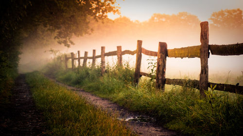 Wooden fence on grassy field