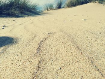 Close-up of sand dunes at beach against sky