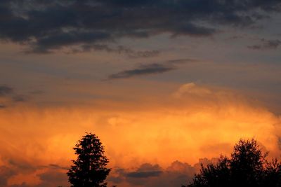 Silhouette tree against sky during sunset