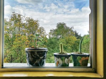 Potted plants on window sill against sky