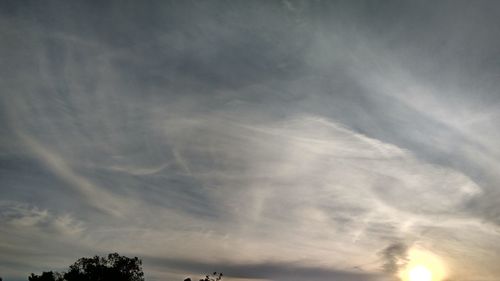 Low angle view of trees against sky