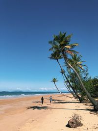 People at beach against clear blue sky