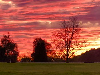 Silhouette trees on field against romantic sky at sunset