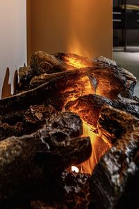 Close-up of bonfire on wooden log