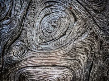 Full frame shot of tree