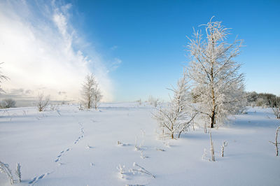 Beautiful and sunny morning in the winter mountains