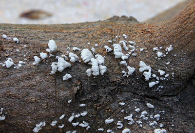 High angle view of snow on sand