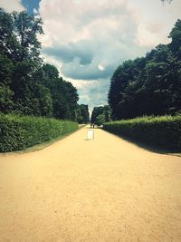 Footpath leading towards trees