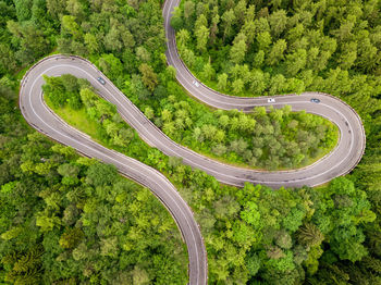 Winding road trough dense forest. aerial drone view, top down