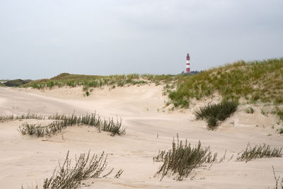 Panoramic image of the dunes of amrum with the lighthouse, germany