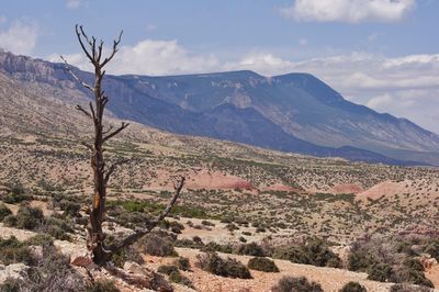 Scenic view of landscape and mountains against sky