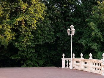 Statue against trees and plants