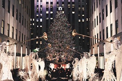 Illuminated christmas tree at night