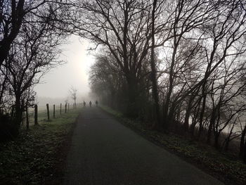 Road amidst bare trees during foggy weather