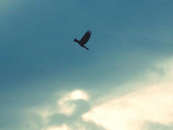 Low angle view of kite flying against blue sky