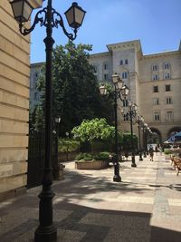 Walkway by trees in city against sky