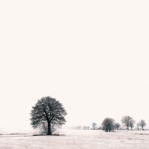 Bare trees on snow covered field against clear sky