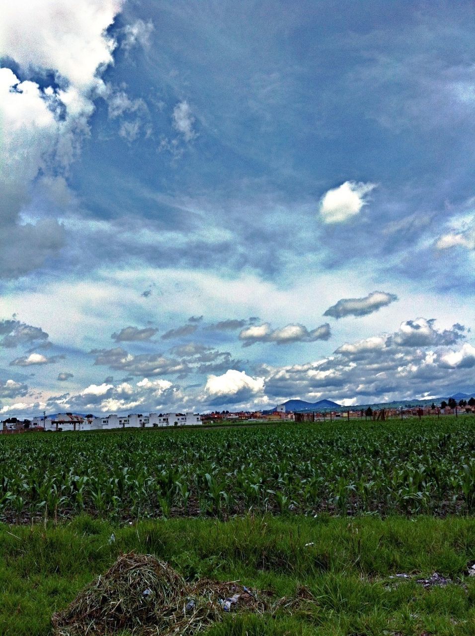 landscape, sky, field, tranquil scene, tranquility, beauty in nature, scenics, cloud - sky, nature, agriculture, rural scene, grass, cloudy, winter, cold temperature, mountain, cloud, weather, growth, snow