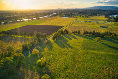 High angle view of agricultural field