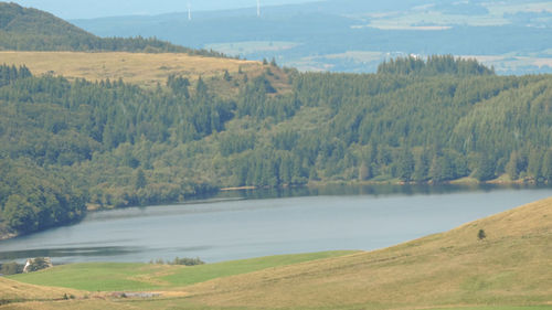 Scenic view of landscape and lake against trees