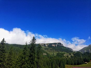 Panoramic view of forest against blue sky