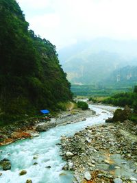 Scenic view of river in forest against sky