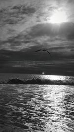 Birds flying over sea against sky during sunset