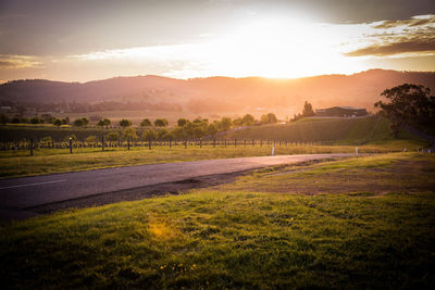 Scenic view of field against sky during sunset