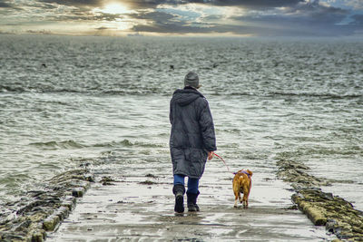 Rear view of dog on beach