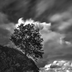 Low angle view of tree against cloudy sky